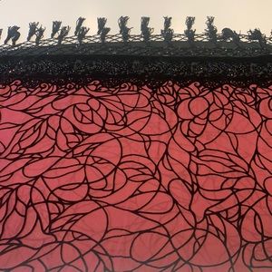 Shana K Silk Velvet tassel beaded scarf